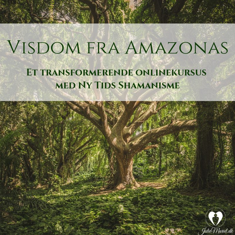 visdom_fra_amazonas