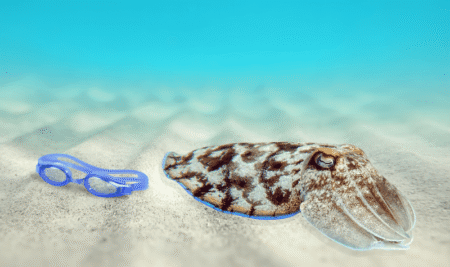 The Ocean is Full of Consciousness